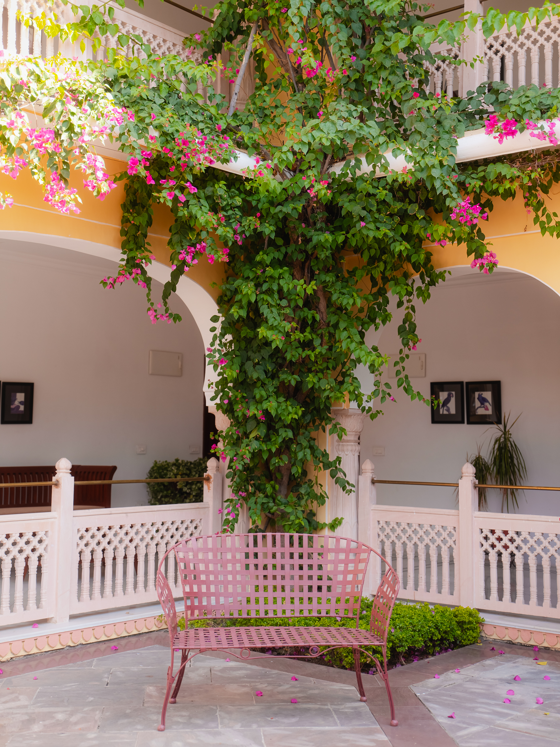 Image from Akhila Anand